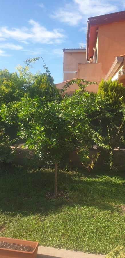 La Casetta Di Antonietta Φιουμιτσίνο Εξωτερικό φωτογραφία